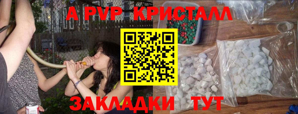 Альфа ПВП СК Ярославль