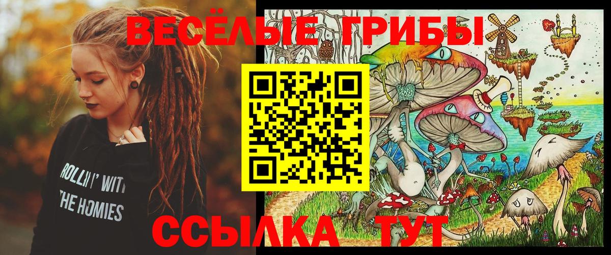 даркнет сайт  Псилоцибиновые грибы прущие грибы  Вход с VPN  Псилоцибиновые грибы Psilocybine cubensis  Ярославль 